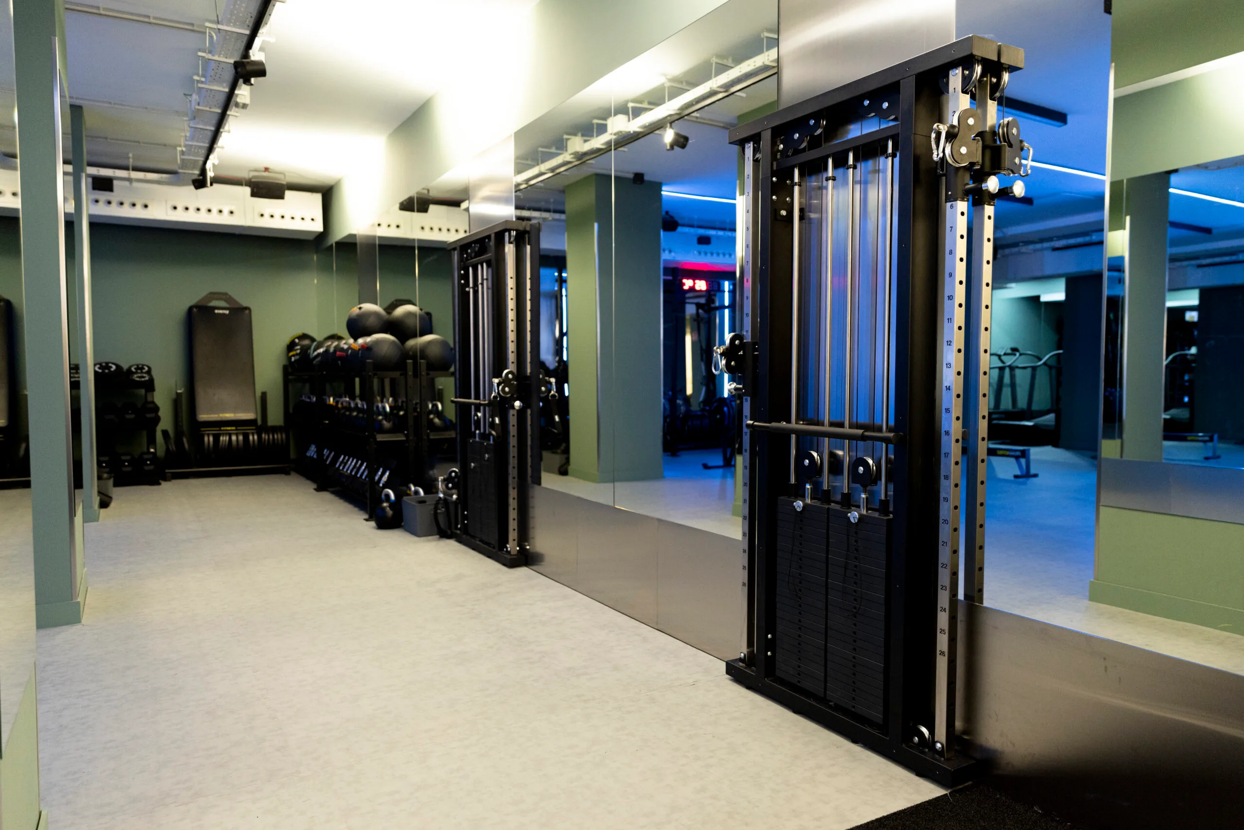 Open Gym entrenamiento libre Madrid Revive