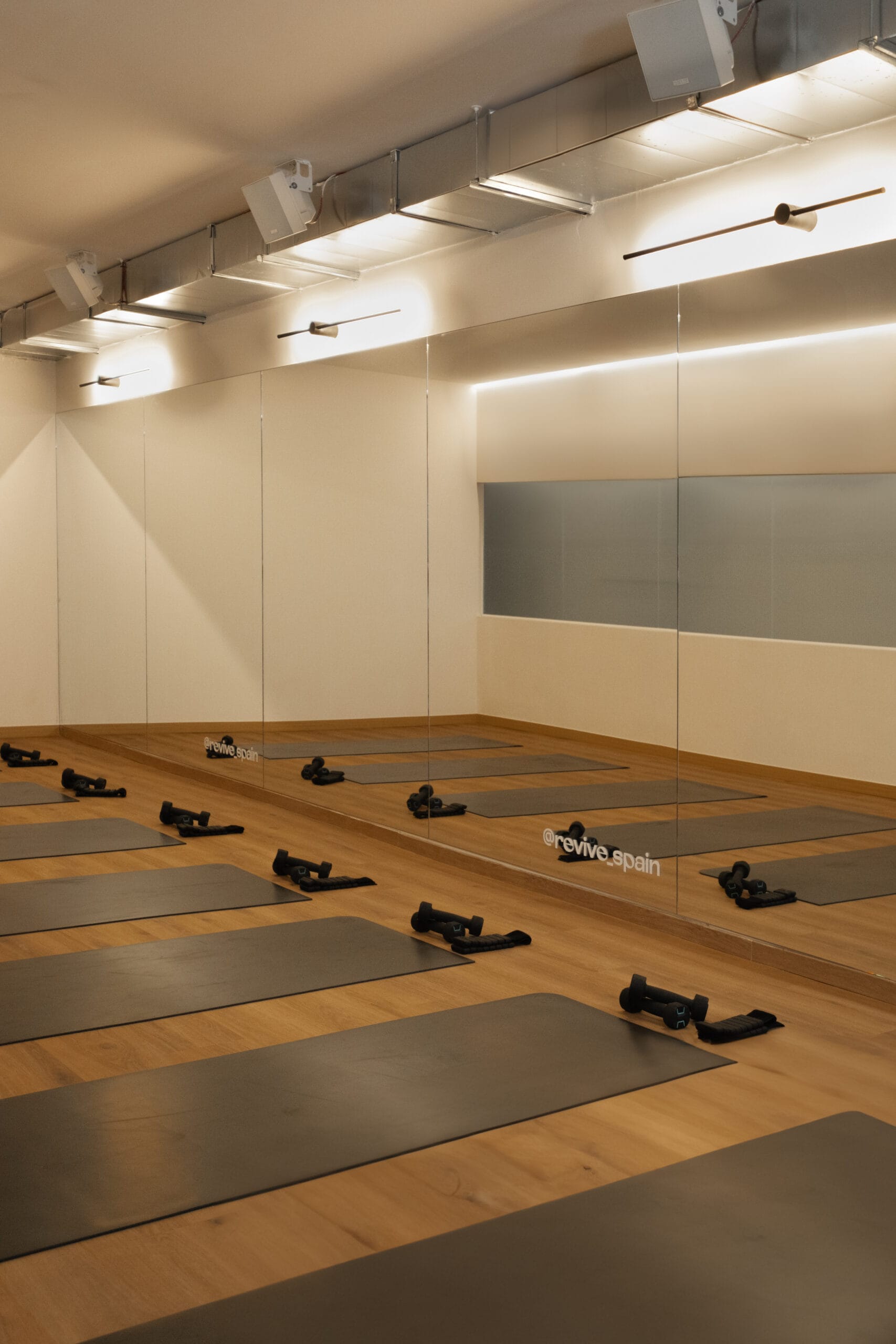 Revive Wellness Hub Madrid — centro premium de entrenamiento y recovery