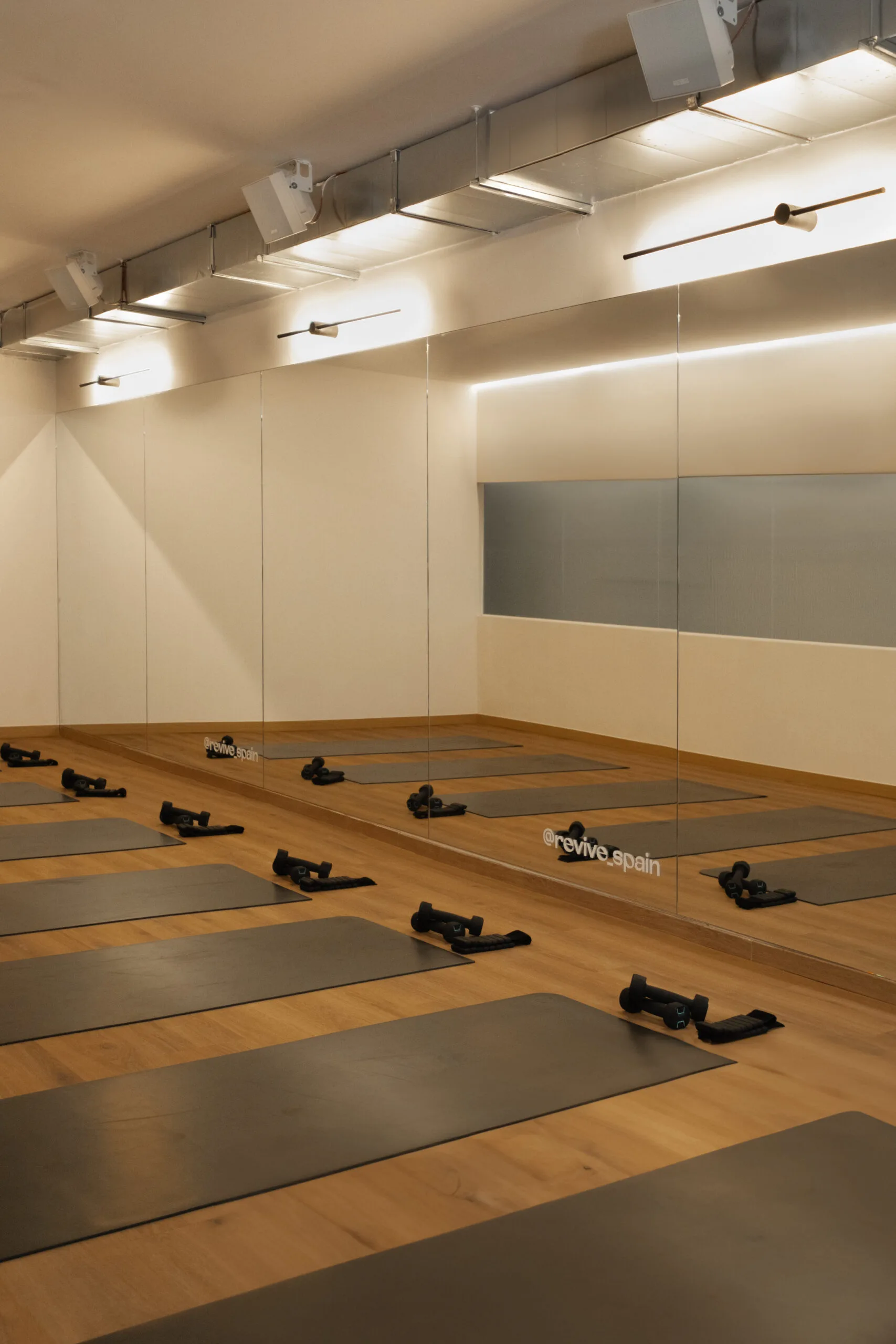 Revive Wellness Hub Madrid — centro premium de entrenamiento y recovery